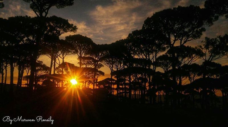 Goodnight Lebanon ❤ From Ras Al Matn by @marwan_rmeily 😍❤😍❤😍❤😍❤😍 ...