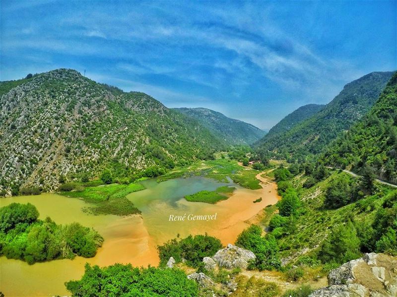 👀🐟  goprome  yallagopro goproleb  livelovelebanon  onlyinlebanon ...