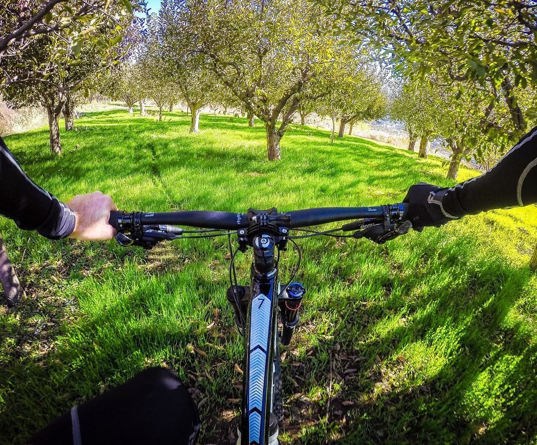 🚴🏻 🌳 . goprophotography  goprocycling  cyclingphotos  cyclingshots ... (Lebanon)