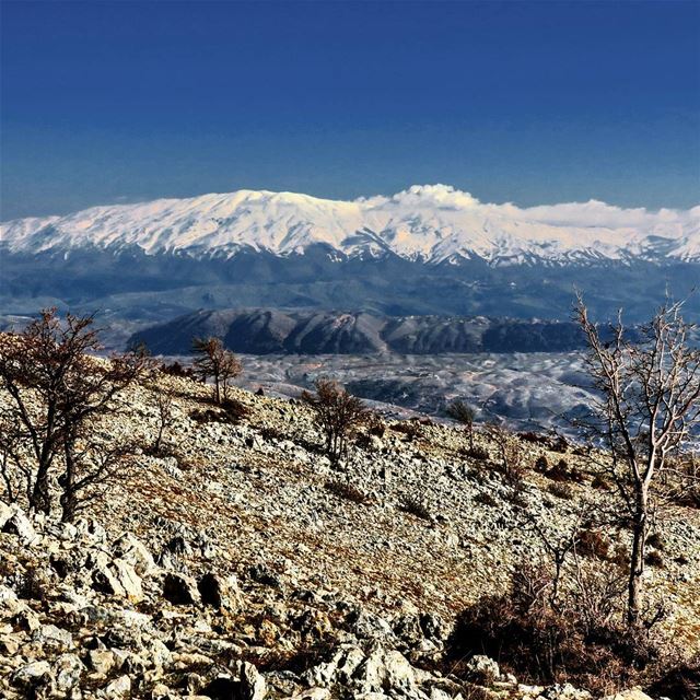 Gorgeous Hermon 😍🗻. hiking  trail  lmt  hermon  sheikh  mountains ...