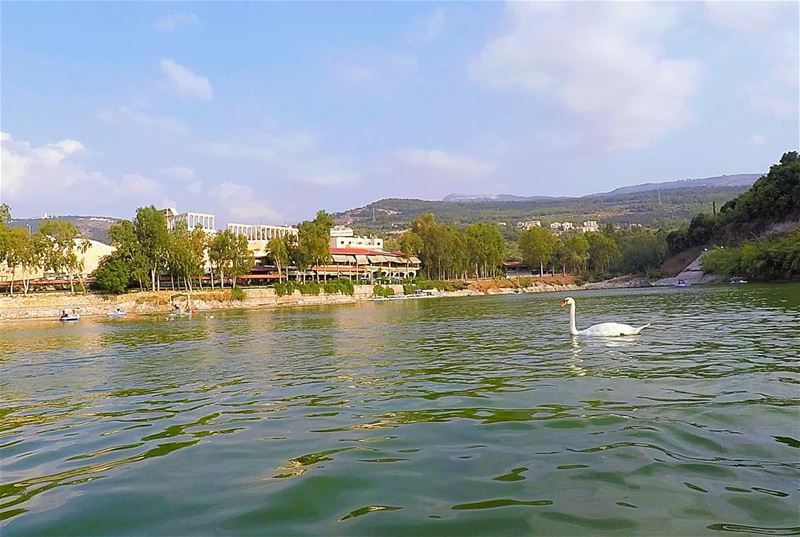 Great depths of peacefulness 💚💙  bnachii  bnachiilake  zgharta ... (Zgharta Lac De Bnachii)