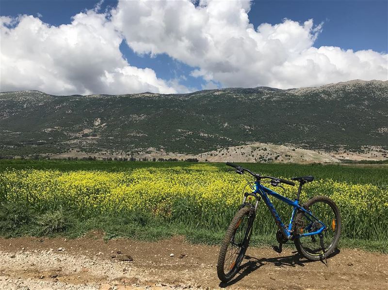 Great things are done when men and mountains meet; This is not done by... (West Bekaa)