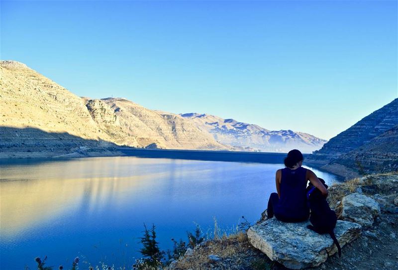 Great View. Perfect company.  HappyFriday ❤  EnzoMyBlackLab ..........