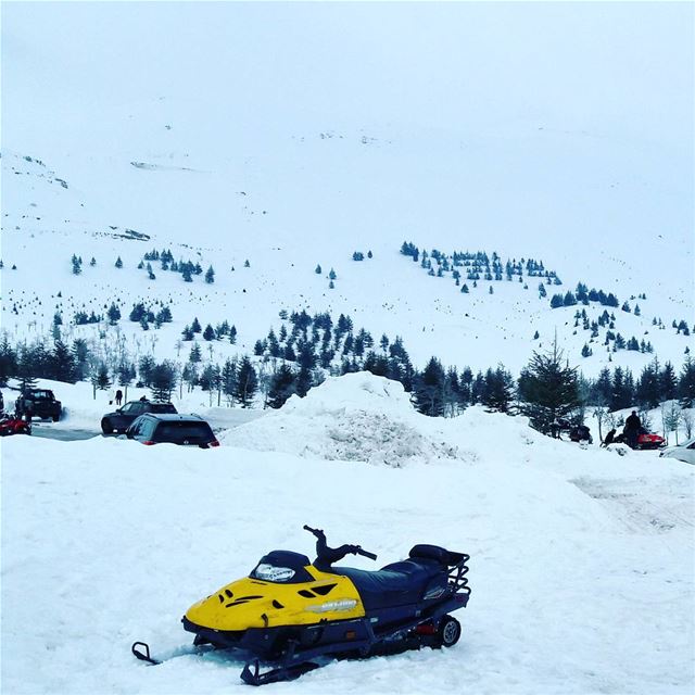 Great weather for snow lovers ❄ Lebanon  Lebanese   AlArz  Cedars ... (Cedars Of Lebanon)