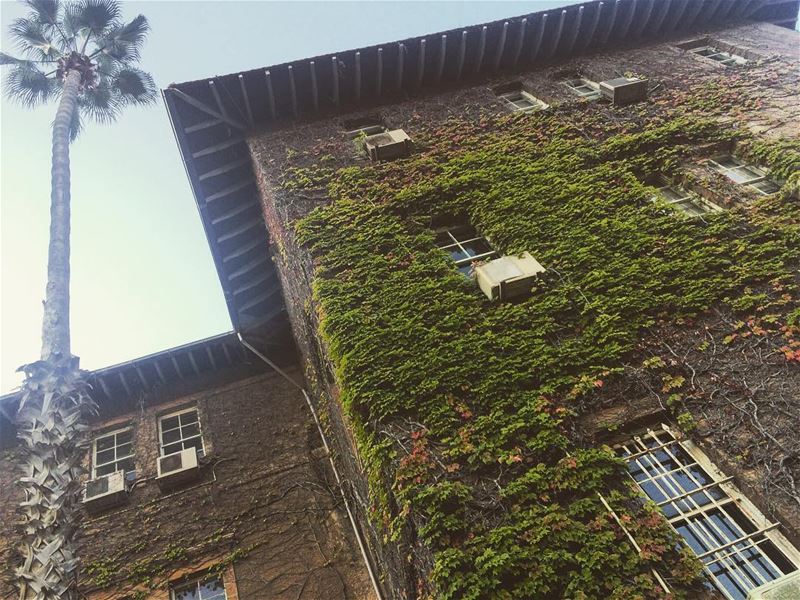green architecture (American University of Beirut (AUB))
