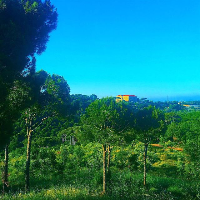 " Green Is The Prime Color Of The World And That From Which Its Loveliness... (Jran, Liban-Nord, Lebanon)