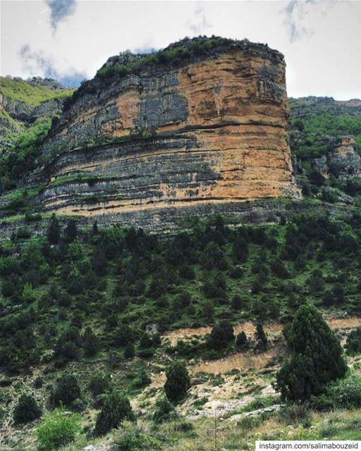 Green is the prime color of the world, and that from which its loveliness... (Afka, Mont-Liban, Lebanon)