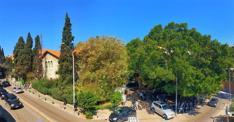  green is the prime color of the  world 🌳🌲 aub  livelovelebanon ... (American University of Beirut (AUB))