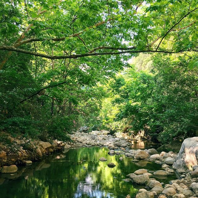 Green Land 🍀 ...