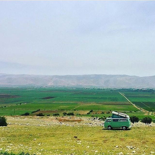 Green on Green.  Lebanon  amik  bekaa  bekaavalley   greenongreen  green ...