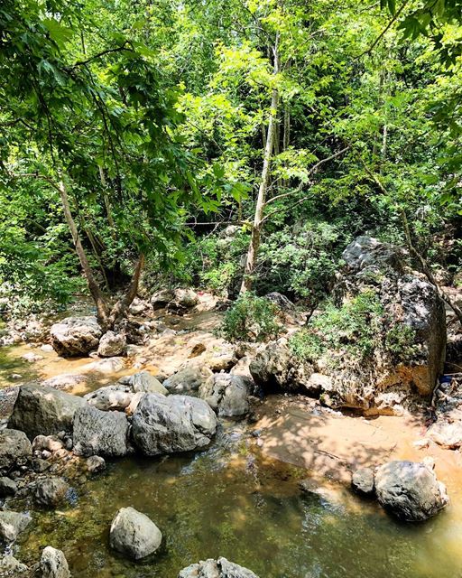 Green series🌴........ liveoutside  lifeofadventure  adventure ... (Wadi Salib)