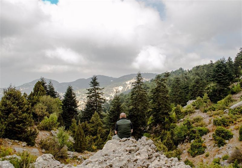 Green...... travelawesome  exploretheglobe  photographer ... (`Akkar, Liban-Nord, Lebanon)