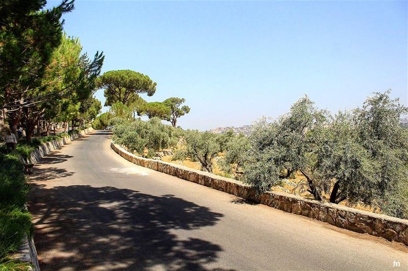 -Green trees, blue sky and a Happy Morning - ... ptk_lebanon ... (Joûn, Liban-Sud, Lebanon)