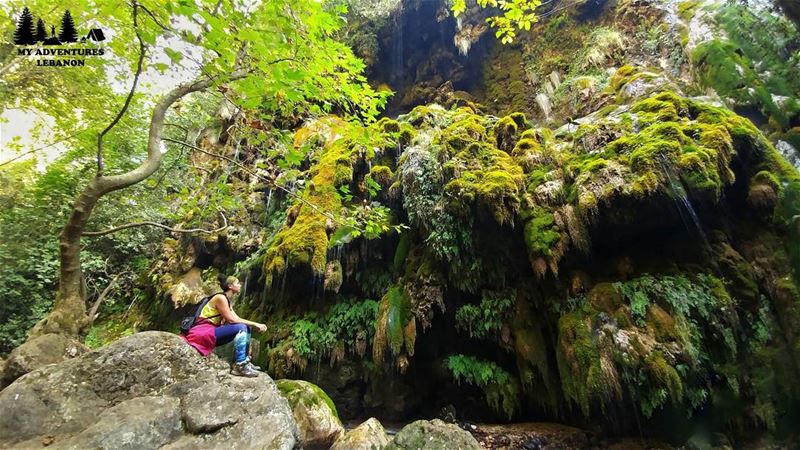 Green valley 🍃Event this Sunday --> Hiking to Wadi Qannoubine... (Wadi Qannubin, Liban-Nord, Lebanon)