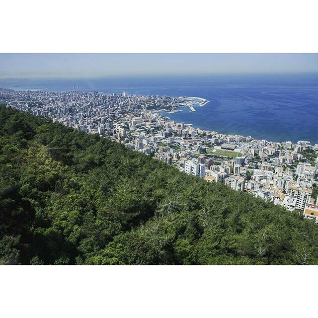 Green Will Be Victorious ! (Beirut,Lebanon)