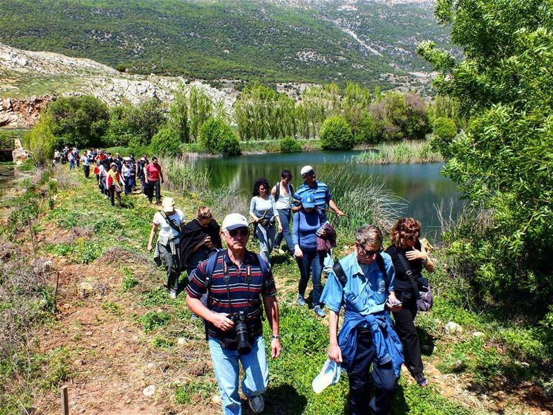  greenculture  hiking  ammiq  bekaa  horses  sunlight  nature  freshnature... (Amik)