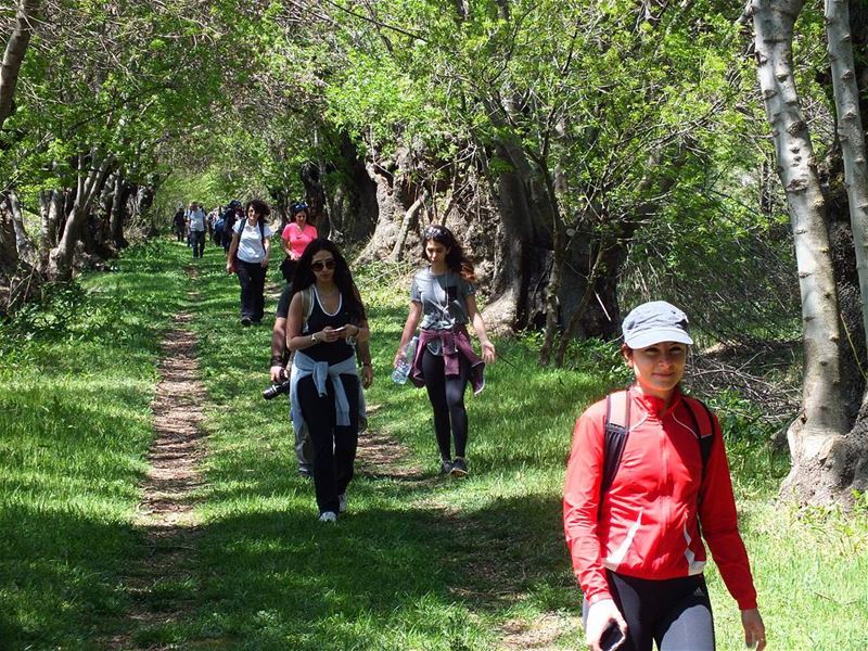  greenculture  hiking  ammiq  bekaa  horses  sunlight  nature  freshnature... (Ammiq - Bekka)