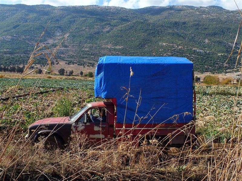  greenculture  hiking  ammiq  bekaa  sunlight  agriculture  nature ... (Ammiq - Bekka)