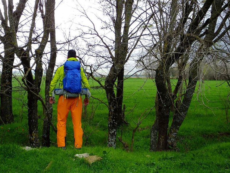  greenculture  hiking  ammiq  flowers  bekaa  westbekaa  lebanonshots ...