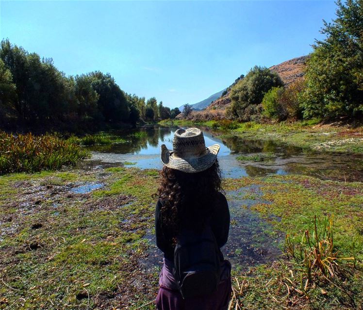  greenculture  hiking  ammiq  flowers  sunlight  nature  freshnature ... (Ammiq - Bekka)