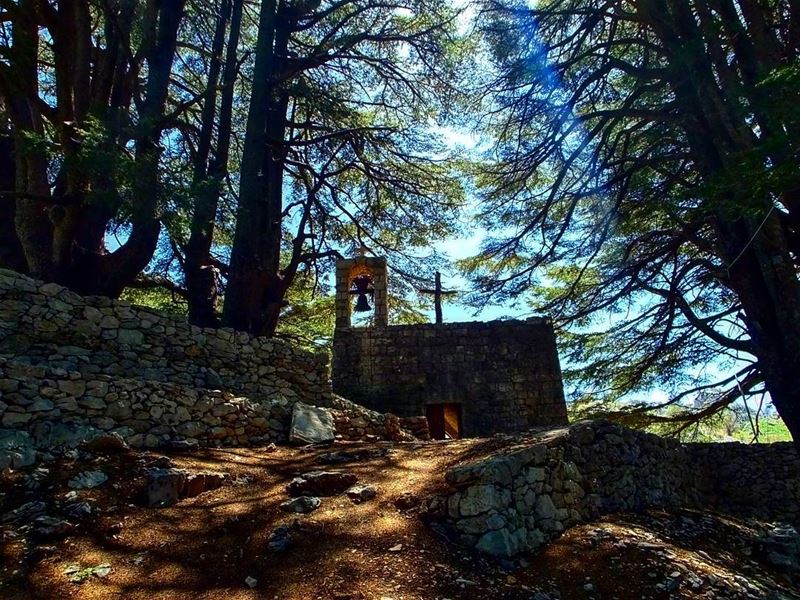  greenculture  hiking  jaj  jbeil  byblos  northlebanon   amazinglebanon ... (Jaj-Jbeil)