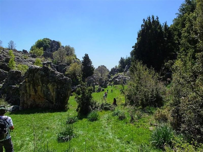  greenculture  hiking  jaj  jbeil  byblos  northlebanon   amazinglebanon ... (Jaj-Jbeil)