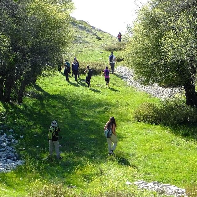  greenculture  hiking  jaj  jbeil  byblos  northlebanon   amazinglebanon ... (Jaj-Jbeil)