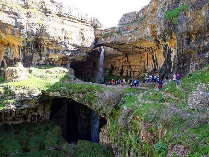  greenculture  hiking  tannourine  tannourinelebanon  balaa  balaalebanon ... (Balaâ, Liban-Nord, Lebanon)