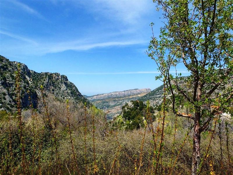  greenculture  hiking  tannourine  tannourinelebanon  balaa  balaalebanon ... (Tannourine,  Liban-Nord,  Lebanon)