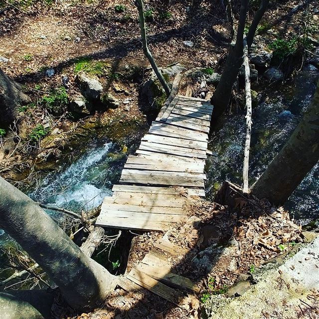  greenculture  hiking  tannourine  tannourinelebanon  balaa  balaalebanon ...