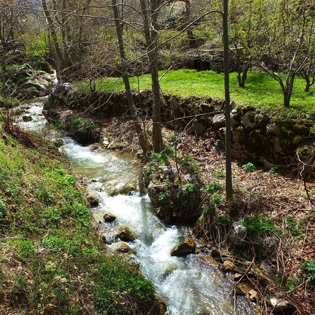  greenculture  hiking  tannourine  tannourinelebanon  balaa  balaalebanon ...