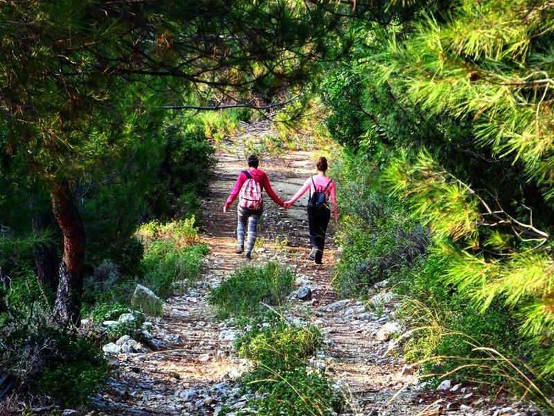  greenculture  hiking  لبنان  liban  amazinglebanon  flowers ...