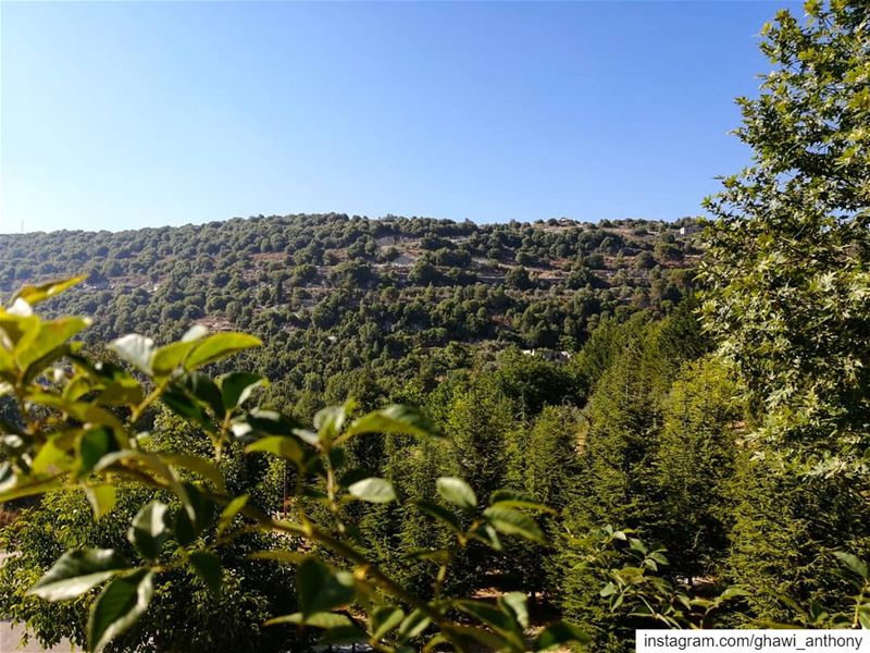 Greenery weekend 💚🌿______________________________________ morning ... (Mayfuq, Mont-Liban, Lebanon)