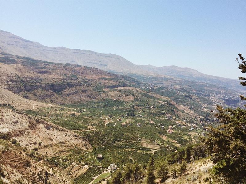 Greenland 🌳⛰  vsco vscocam instalebanon lebanonspotlights... (Mghâret Qâdîcha)