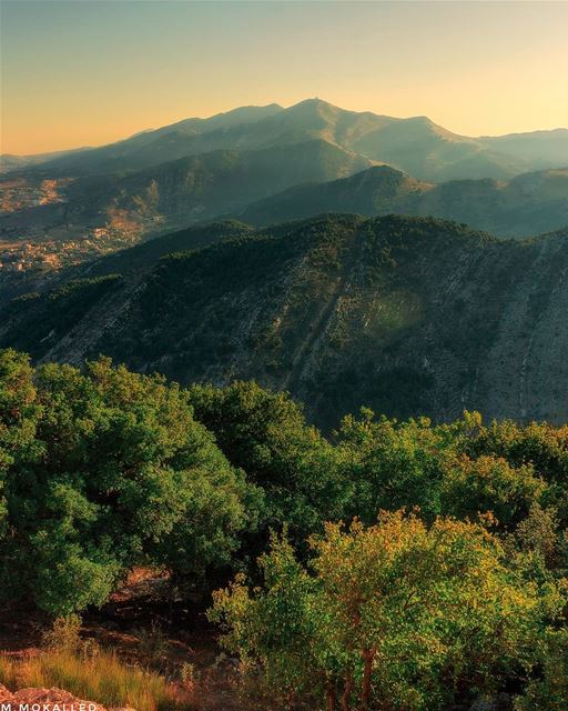 Greeny mood from yesterday morning 😍Niha mountain 🗻🌄ISO 100, f11, 1/50 (`Aramtá, Al Janub, Lebanon)