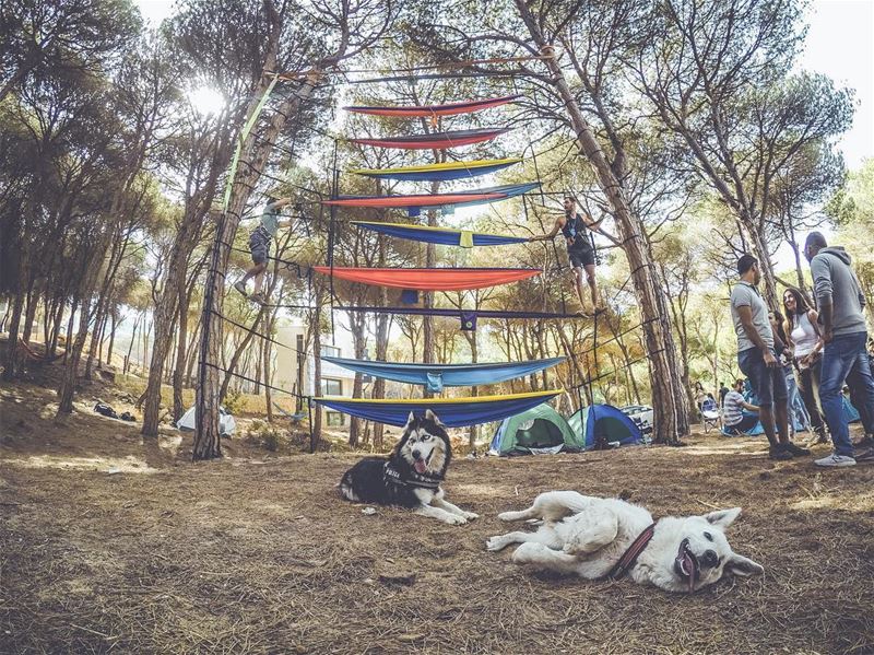 Grey's first time out in a public gathering. Having a fearful dog makes it... (Broummâna, Mont-Liban, Lebanon)