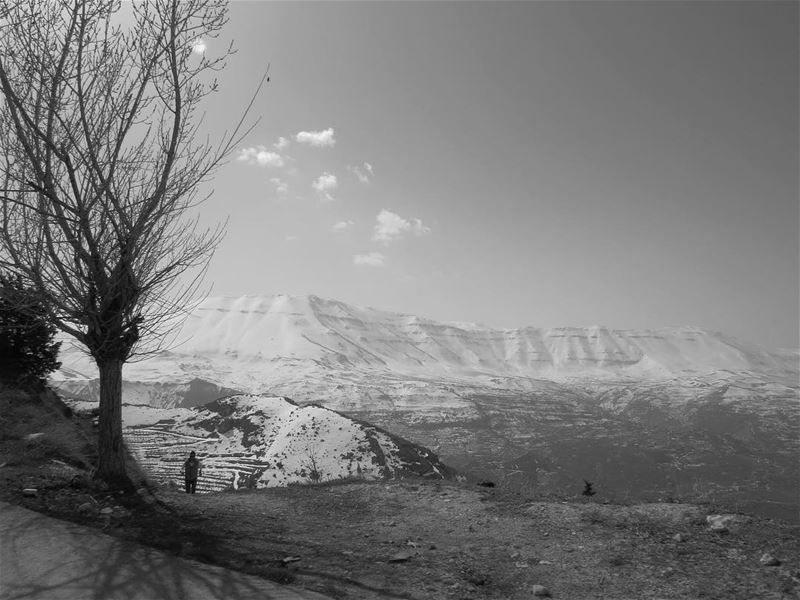 Grey-white winter ❄️🗻 justgoshoot peoplescreatives exploretocreate... (Faraya Mzaar)