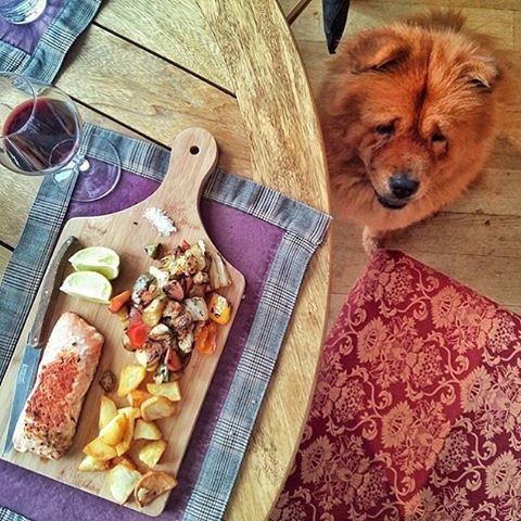 Grilled salmon & a glass of red wine 🍷 I'd be jealous too 🐶🙈 Photo credits @join.joe ☺️☺️☺️