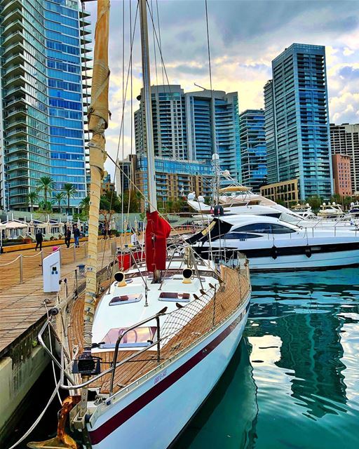 Guardians of the boat 🚣🏻‍♀️  spotthebirds  beirut  boats  marina ... (Beirut, Lebanon)