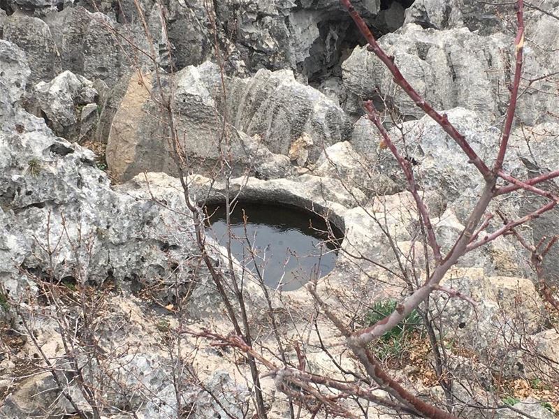 Guess on which  JabalMoussa  trail this shot was taken and win 2 free... (Jabal Moussa)