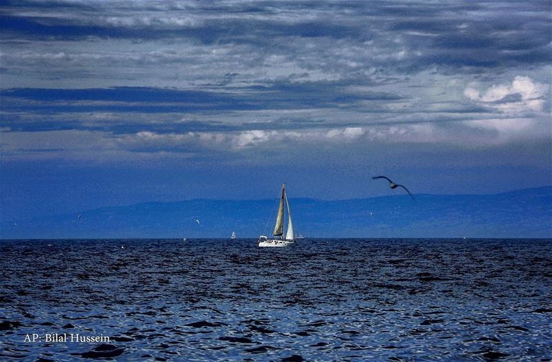 Gulls flying near a small sailing boat on the Mediterranean Sea in Beirut,...