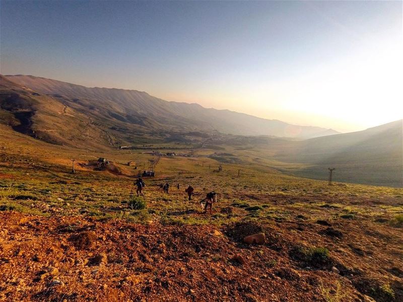 h e a d i n g .. u p⛰ lebanon  lebanon_hd  lebanon_hdr  mountains  cedars... (Cedars of God)