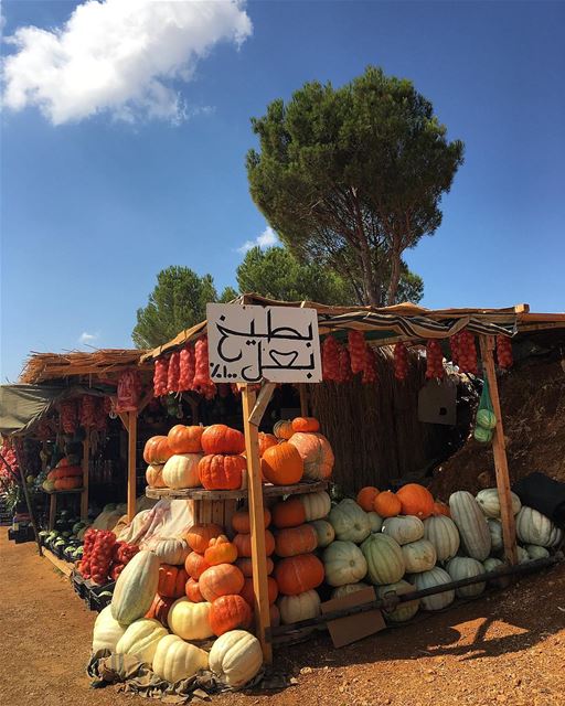 Halloween is Coming!? 100%🎃  pumpkin  september  autumn  westbekaa ... (West Bekaa- Aana)