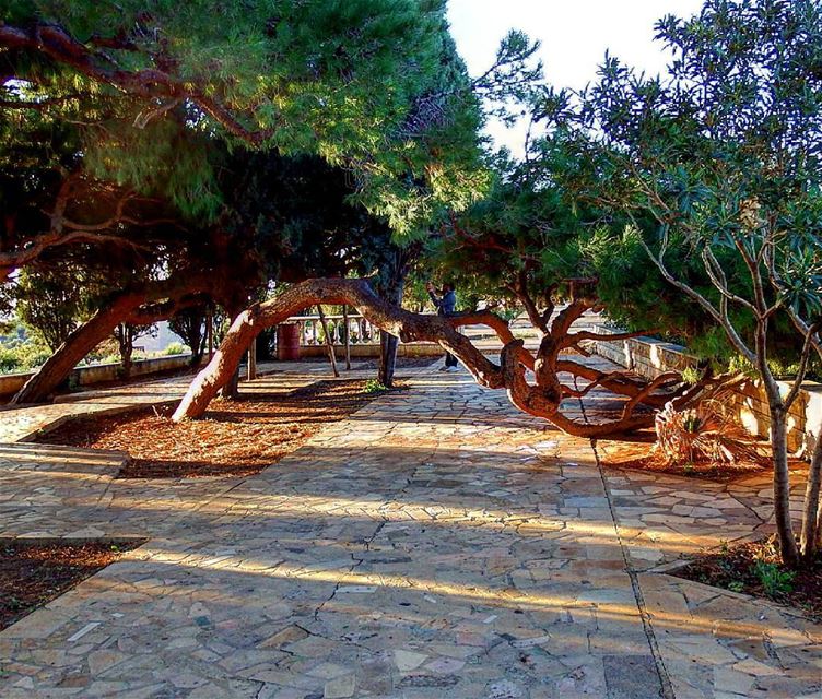  hamet  lebanon  insta_lebanon  ig_lebanon  proudlylebanese ... (Saydit El Nouriyyeh Chekka)