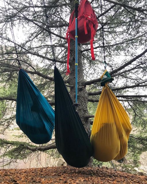 Hammock chilling 💯 (Lebanon)