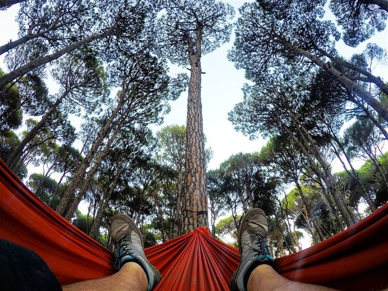  Hammock  Relax  EnjoyNature  MorninVibes  Chill  Chillax  ValleyCamp ... (Aghmid, Mont-Liban, Lebanon)