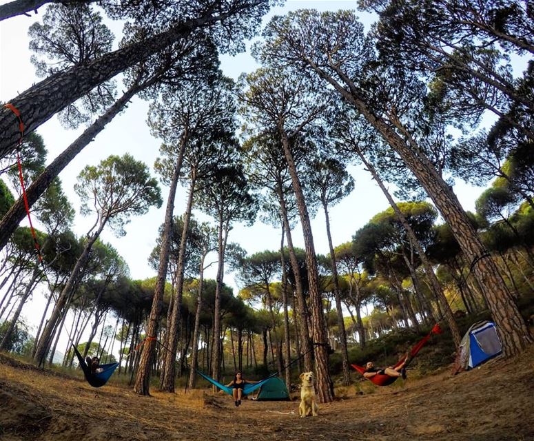  Hammocks  Relax  Chill  ValleyCamp  Aghmid  Chouf  Lebanon  livelovechouf... (Aghmid, Mont-Liban, Lebanon)