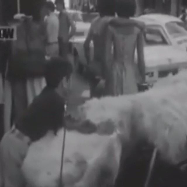 Hamra Street in 1963 .