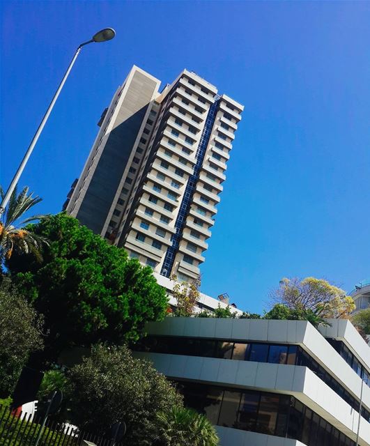 hamra.