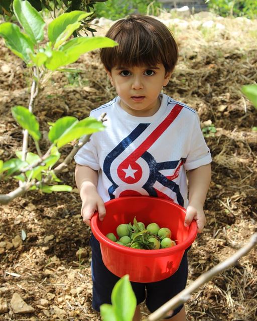 Hands off MY janerik! 🤣🤣  myprecious......... Lebanon  fruit ...